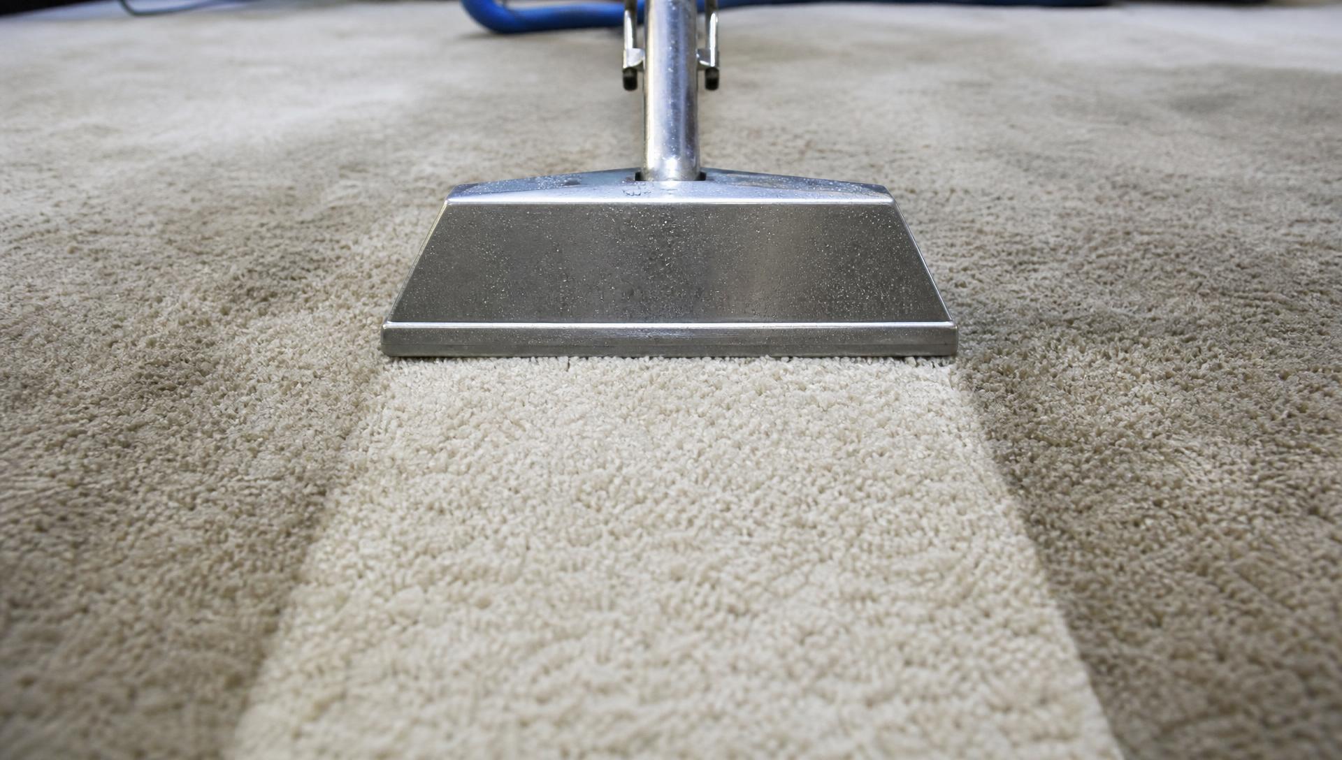 Carpet Deep Clean